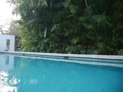 a large blue swimming pool next to a tree at Cote Pacific Casitas in Huacas