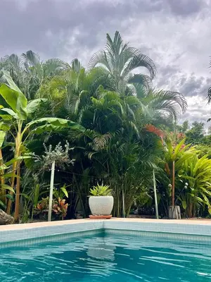 a swimming pool with palm trees in the background at Cote Pacific Casitas in Huacas