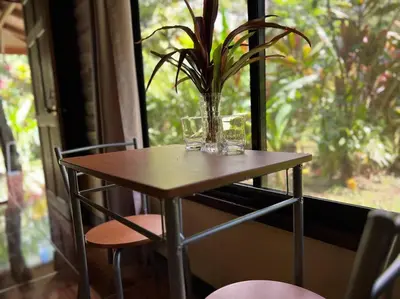 a table with a vase with a plant on it at Casita Lidia Bijagua in Bijagua
