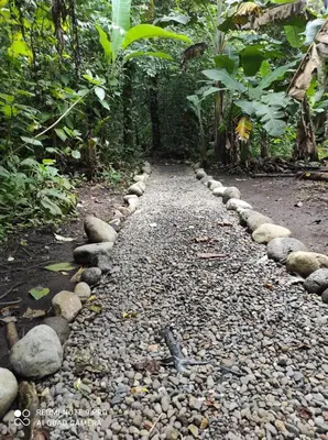 a stone path in the middle of a forest at Casita Lidia Bijagua in Bijagua