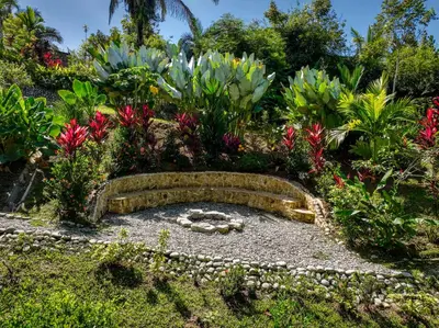 a garden with colorful flowers and plants at Private Casita Jungle Treehouse Ocean View in Uvita