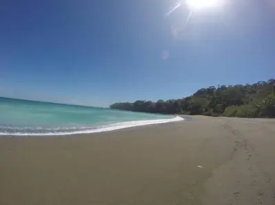 a sandy beach with the ocean and trees in the background at Private Casita Jungle Treehouse Ocean View in Uvita