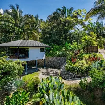 Private Casita Jungle Treehouse Ocean View