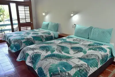 two beds sitting next to each other in a room at Hotel Planeta Sano in Manuel Antonio