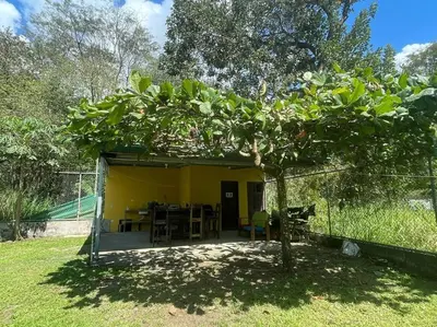 a small yellow house with a tree in the yard at Villa Cola de Ballena Uvita in Uvita