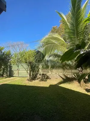 a palm tree sitting on top of a lush green yard at Villa Cola de Ballena Uvita in Uvita