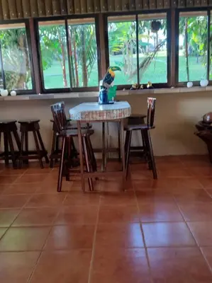 a toy bird sitting on a table in a room at Eco Villas Tambor Tucanes in Tambor