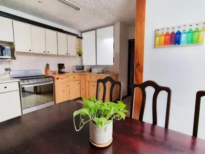 a kitchen with a table with a potted plant on it at 714 Studios in San José