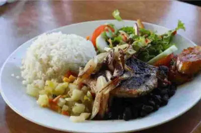 a plate of food with rice and meat and vegetables at Casa San Gerardo in Bagaces