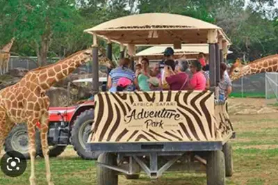 a group of people are riding in a zebra print at Casa San Gerardo in Bagaces