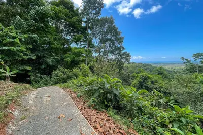 a path on the side of a hill with trees at Casa Henaway - Portasol Vacation in Savegre