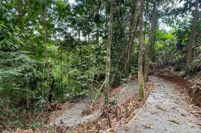 a dirt path in the middle of a forest at Casa Henaway - Portasol Vacation in Savegre
