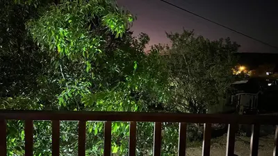 a wooden fence in front of a tree at night at Chillout House in Monteverde Costa Rica