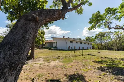 an old tree in front of a building at Hotel El Cocobolo Food&Rest Room 3 B&B WiFi AC Pkg Free Swimmingpool in Liberia