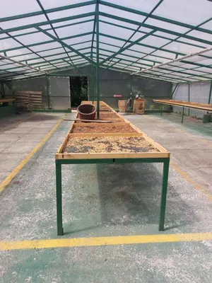 a wooden table sitting in a parking lot at Alisson Hotel y Restaurant in Monteverde Costa Rica