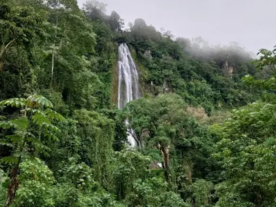 a waterfall in the middle of a forest at Flor de bambú in Uvita