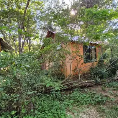 PachaMama Bio Hostel