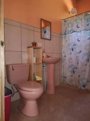 a bathroom with a pink toilet and a sink at Casa del Eucalipto in Sabana Redonda
