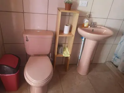 a bathroom with a pink toilet and a sink at Casa del Eucalipto in Sabana Redonda