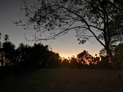 a sunset in a field with a tree at Casa del Eucalipto in Sabana Redonda