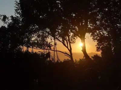 a sun setting behind two trees in a field at Casa del Eucalipto in Sabana Redonda