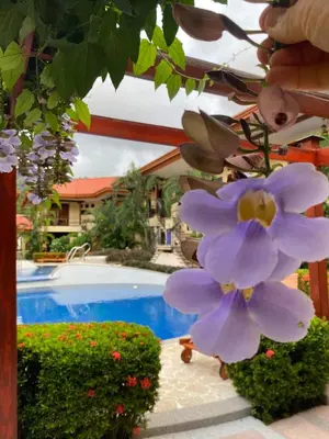 a bunch of purple flowers next to a swimming pool at Jaco Hideaway Oasis in Jacó