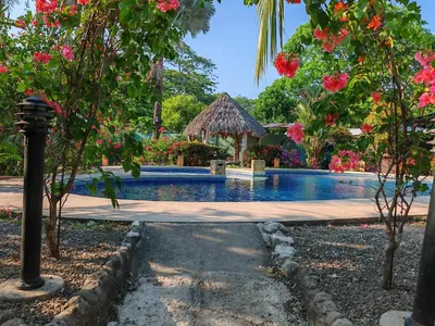 a swimming pool with a gazebo and pink flowers at Bioluminiscencia Hostel Tours - South in Paquera