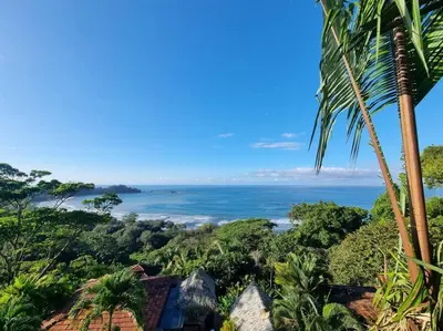 a view of the ocean from a resort with a palm tree at Villa Amor del Mar with Breathtaking View of Ocean & Jungle in Dominical