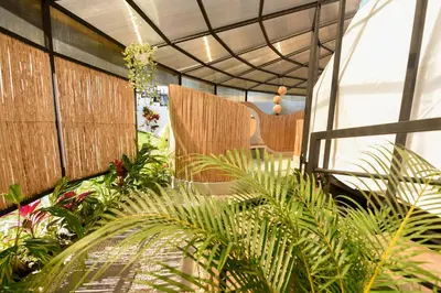Gallery image of Alma Glamping in Escazu