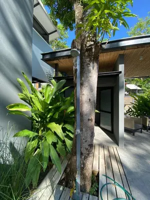 a tree in front of a house with plants at Studio Aloha - Malpais in Carmen