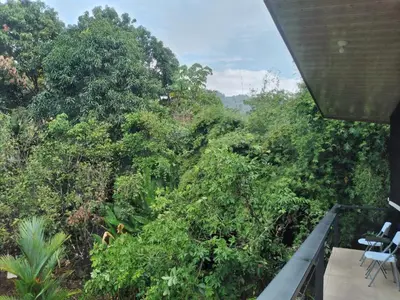 a room with a view of a forest at Cabinas fave in Uvita