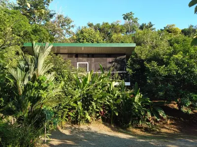 a small building in the middle of a forest at Cabinas fave in Uvita
