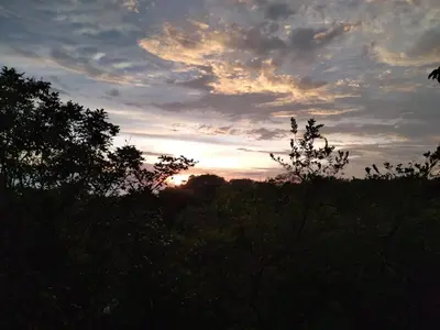 a sunset in the sky with trees in the foreground at Cabinas fave in Uvita