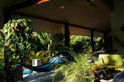 a hammock in a room with plants at House in the palm forest in Carrillo