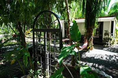 a iron gate in front of a house at House in the palm forest in Carrillo