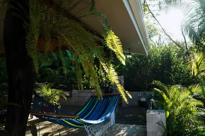 a hammock in a garden with plants at House in the palm forest in Carrillo