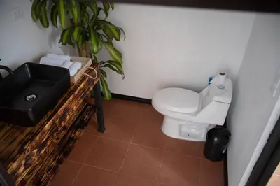 a bathroom with a white toilet and a plant at Villa Aura in Fortuna