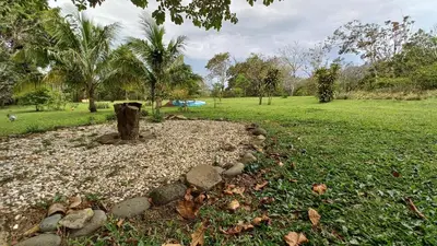 a park with a tree stump in the middle of a field at Cosy Apartment near the Lake in Tilarán