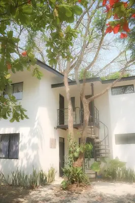a white building with a tree in front of it at Vista Verde Surf & Studios - jungle View in Carmen