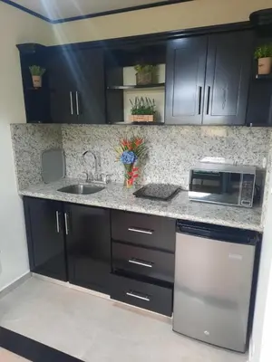 a kitchen with black cabinets and a sink and a microwave at Lakeview Arenal Suite - 2025-2026 Traveller Award Winners in Tronadora