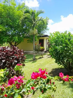 a garden with pink flowers in front of a house at Lakeview Arenal Suite - 2025-2026 Traveller Award Winners in Tronadora