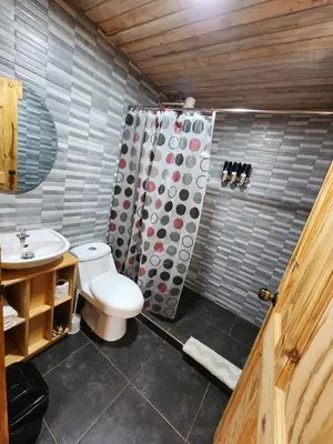 a bathroom with a toilet and a shower curtain at Cabaña el Faisán, Jardín de Dota in Jardín