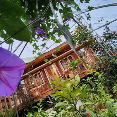 Cabaña el Faisán