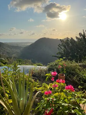 a view of the ocean from a garden with flowers at Tierra Encantada Wellness Center in Nosara