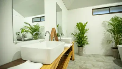 a bathroom with a large white sink and plants at Anthurium house in Fortuna