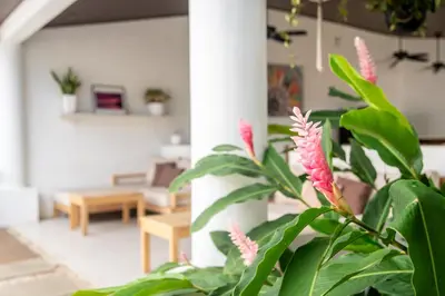 a plant with pink flowers in a living room at Hotel Por Que No? in Uvita