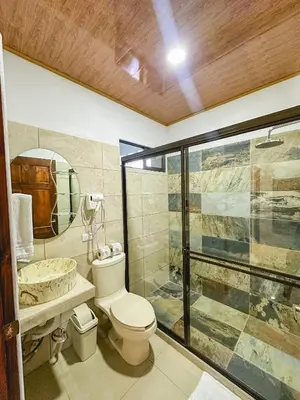 a bathroom with a toilet and a walk in shower at La Fortuna Donwtown Dreams in Fortuna