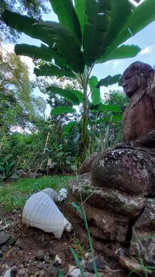 a bird sitting on the ground next to a statue at Aura Bungalow 2 in Tamarindo