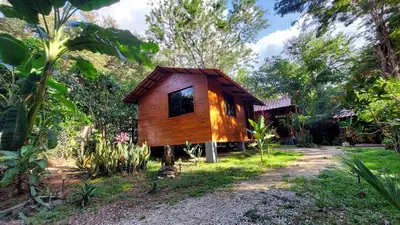 a tree house in the middle of a garden at Aura Bungalow 2 in Tamarindo