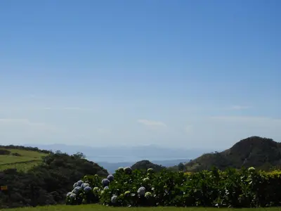 a field of grapes on a hill with mountains in the background at Campo Azul #3 - Monteverde in Monteverde Costa Rica